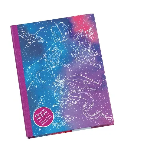 Constellation journal cover