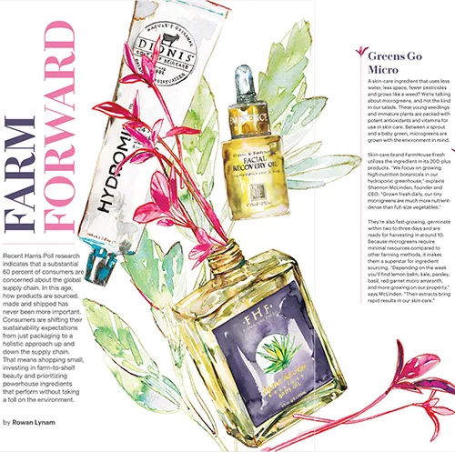 Editorial/Advertorial illustration by Samantha Hahn