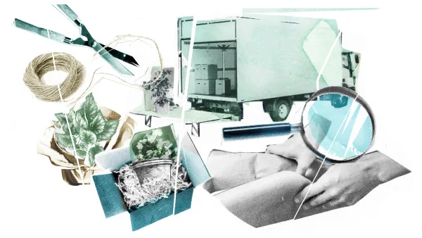 Editorial/Advertorial illustration by Samantha Hahn