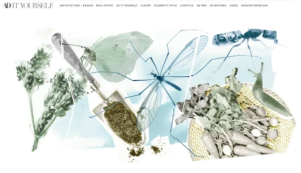 Editorial/Advertorial illustration by Samantha Hahn