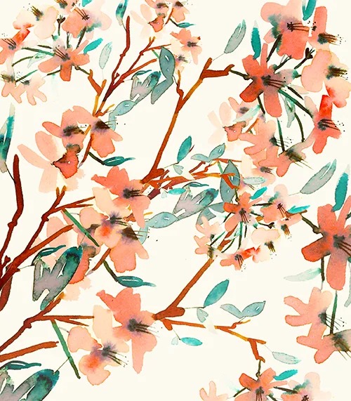 Cherry blossom branches in watercolor, for Afternoon Tea, Japan, illustration by Samantha Hahn