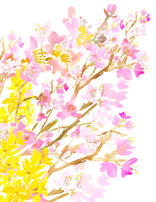 Editorial/Advertorial illustration by Samantha Hahn