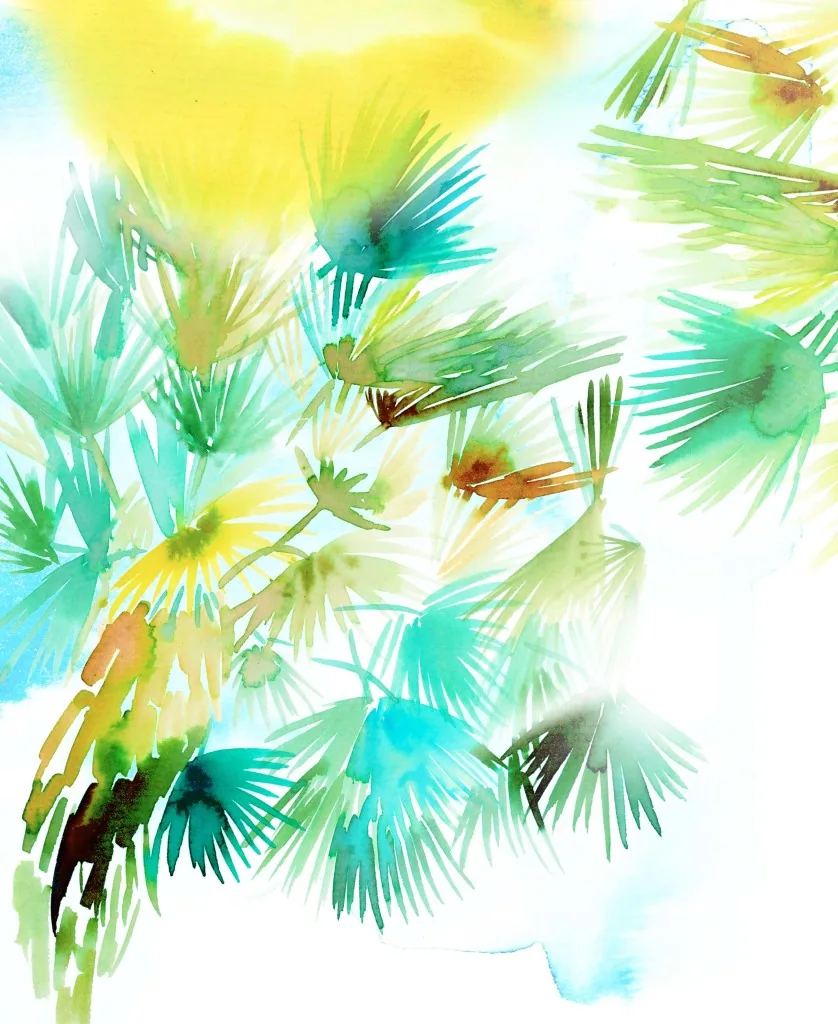 Palms for Hatch Collection, illustration by Samantha Hahn