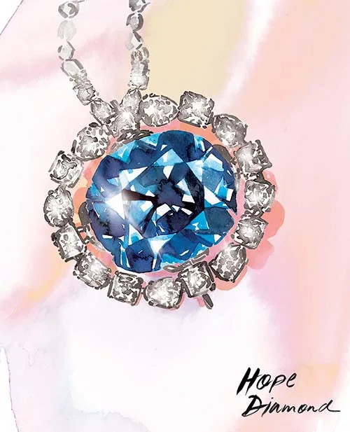 Editorial/Advertorial illustration by Samantha Hahn