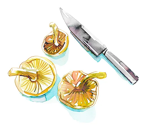 Food + Drink illustration by Samantha Hahn