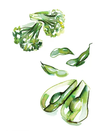 Food + Drink illustration by Samantha Hahn