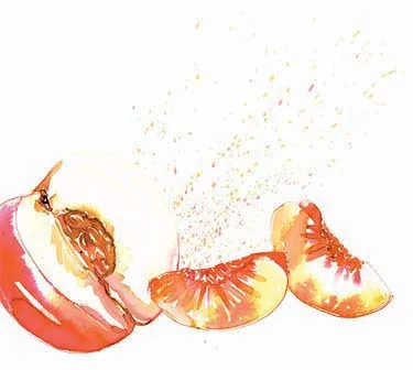 Food + Drink illustration by Samantha Hahn