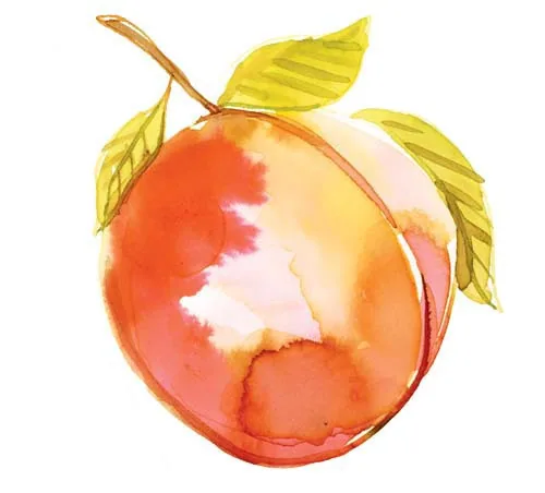 Food + Drink illustration by Samantha Hahn