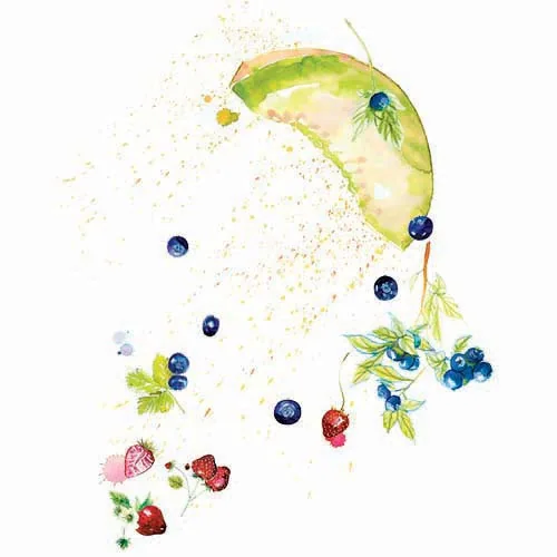 Food + Drink illustration by Samantha Hahn