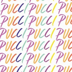 Pucci Logo dress7