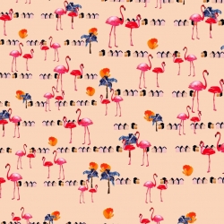 flamingo-beach-1024x943