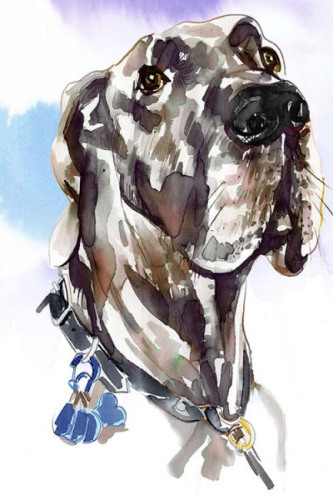 Meet The Breeds Illustrative Reportage for The Cut_NY Magazine4